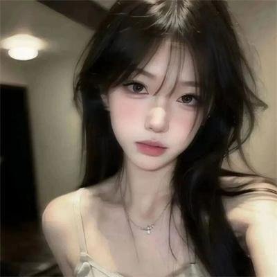 我私人的爱达荷